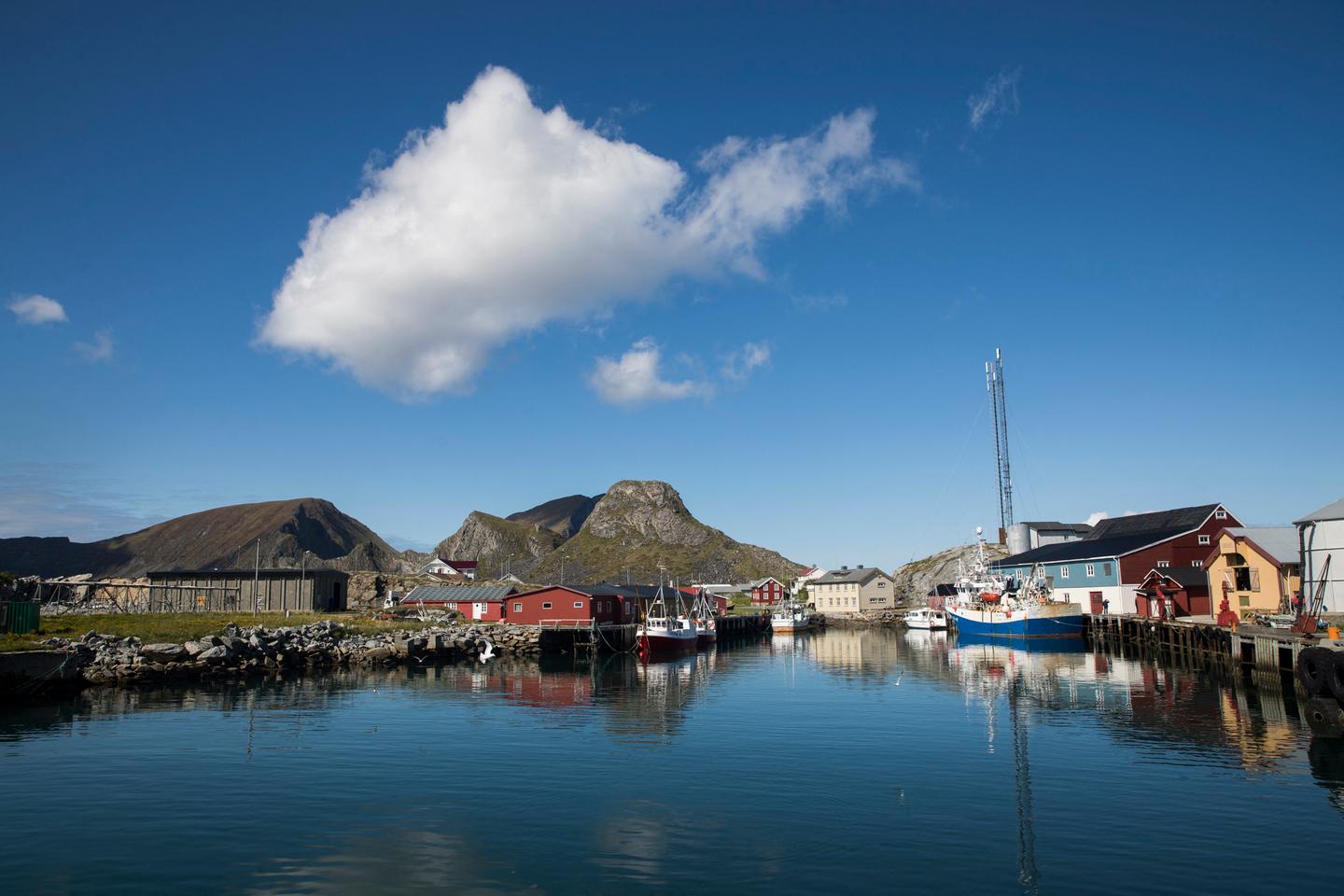 In the face of overtourism, the Norwegian government wants to introduce a tourist tax