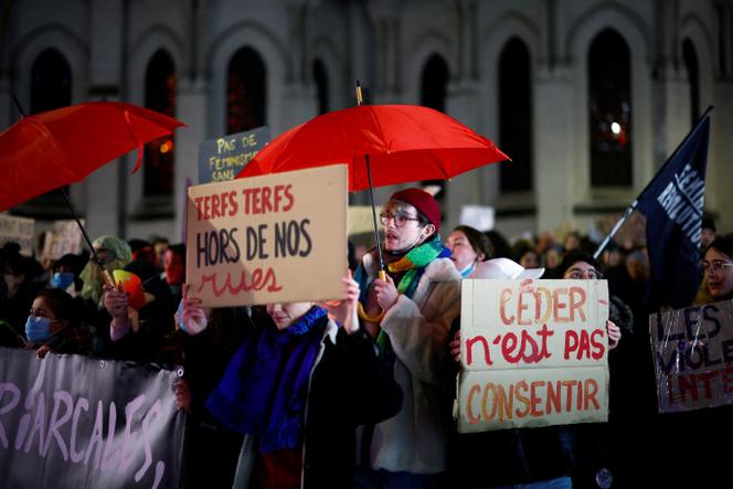 Manifestation contre les féminicides, les violences sexuelles et toutes les violences fondées sur le genre, à l’occasion de la Journée internationale pour l’élimination de la violence à l’égard des femmes, à Nantes, le 25 novembre 2024.