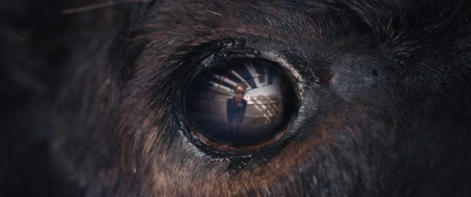 Images Le Monde.fr