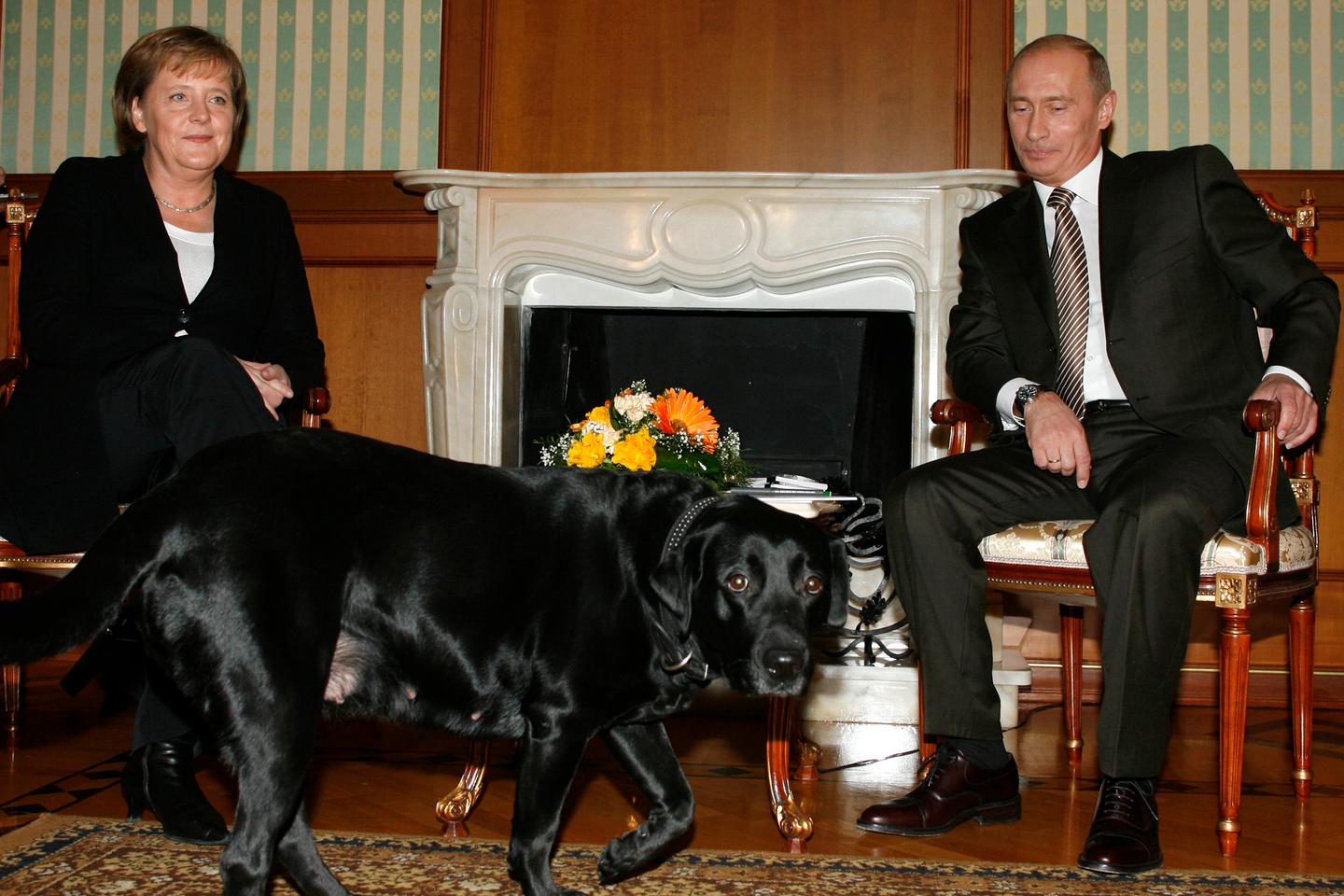 'Angela, forgive me': Putin denies intentionally scaring Merkel with dog