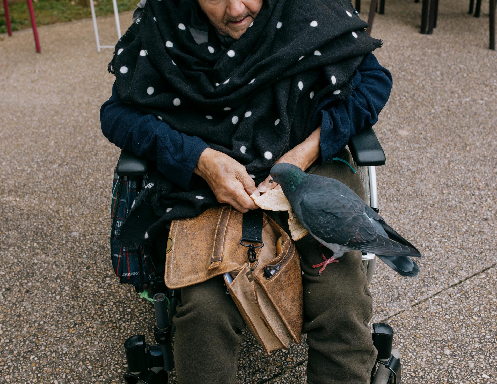 David, 87 ans, donne du pain aux pigeons, dans le jardin de l’Ehpad Hector-Malot, à Fontenay-sous-Bois (Val-de-Marne), le 31 octobre 2024.