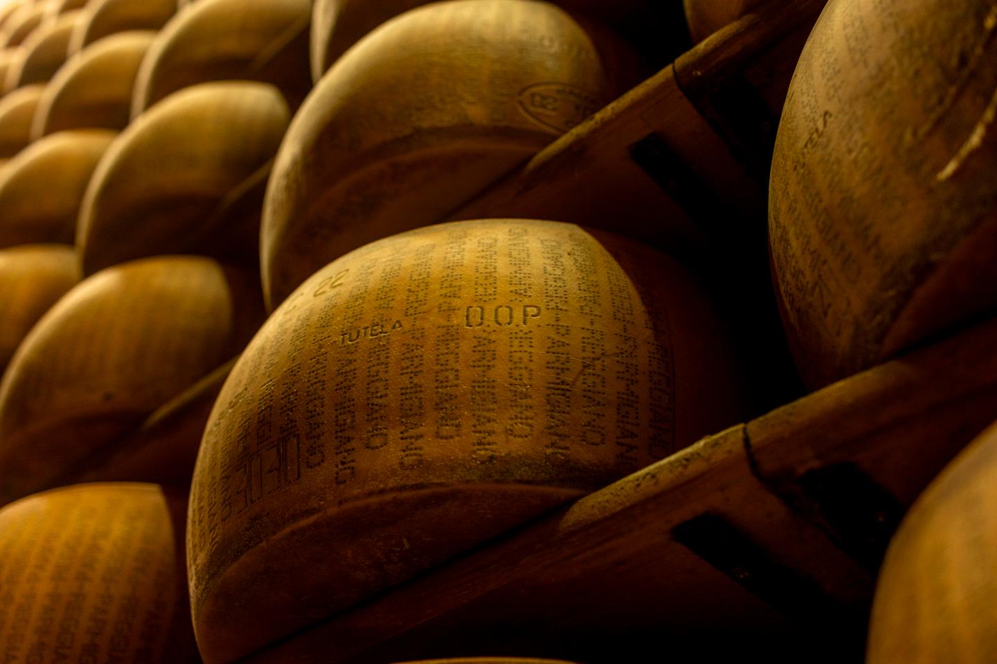 The partisans of Parmesan