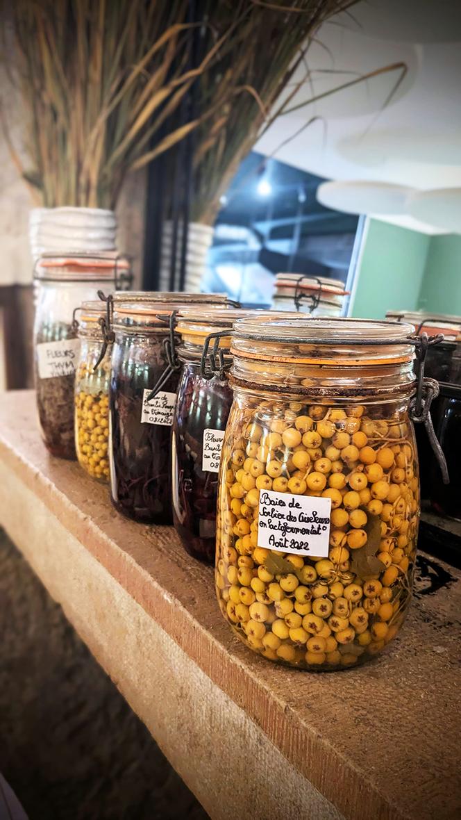 Bocaux de préservation (sorbier des oiseleurs, basilic pourpre, vinaigre de fleurs de serpolet...).