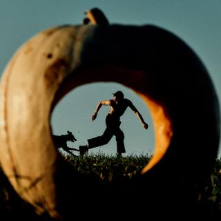 Images Le Monde.fr