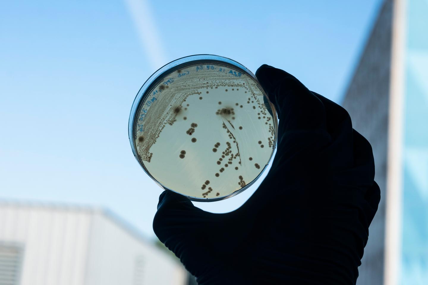 PFAS: Searching for the weapon against 'forever chemicals'
