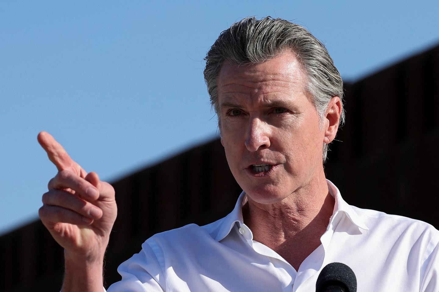 California Declares State of Emergency Over Bird Flu Outbreak - News Directory 3