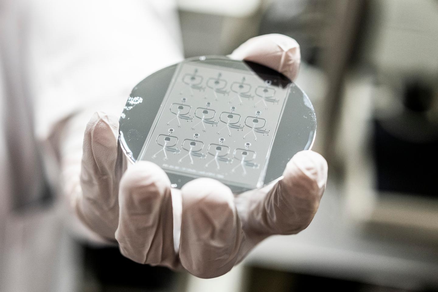 In search of the bacteria capable of eating forever chemicals