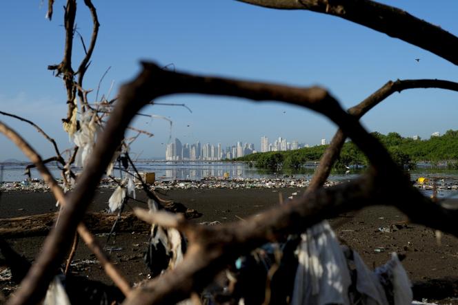 Um mangue poluído por resíduos plásticos, no Panamá, 6 de dezembro de 2024.
