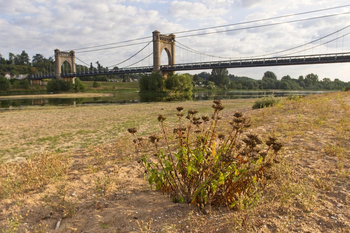 What will France's climate be like at +4°C?