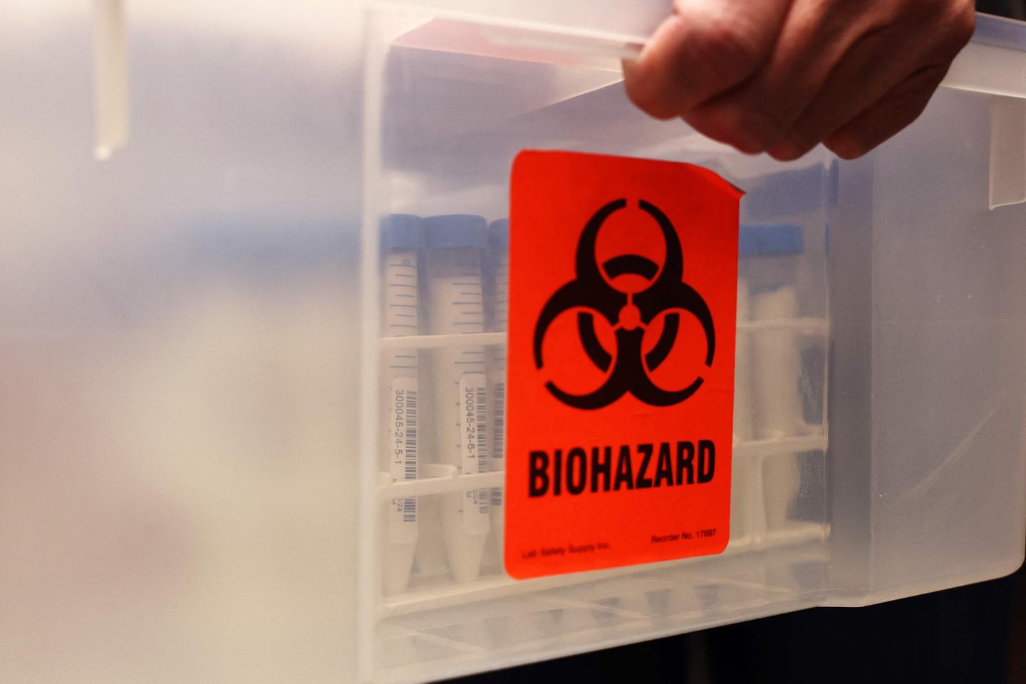 'America's handling of the bird flu crisis is putting, and will continue to put, the entire world at risk'