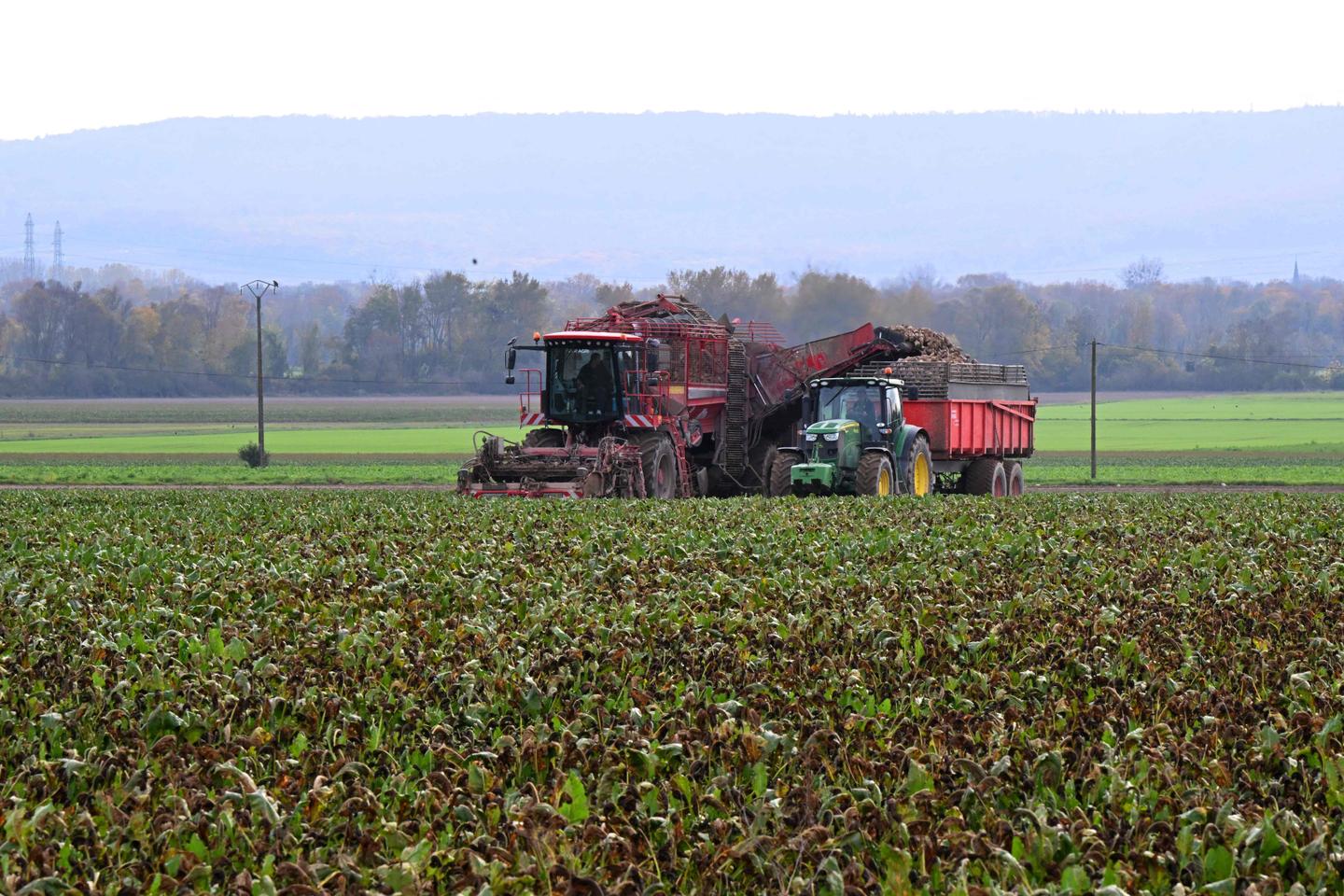 Plus de 240 scientifiques de l’Inrae signent une tribune après les critiques de certains agriculteurs : « Il est de notre responsabilité de résister aux pressions des lobbys »