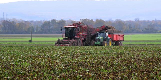 « Il est de notre responsabilité de résister aux pressions des lobbys » : plus de 240 scientifiques de l’Inrae signent une tribune après les critiques de certains agriculteurs