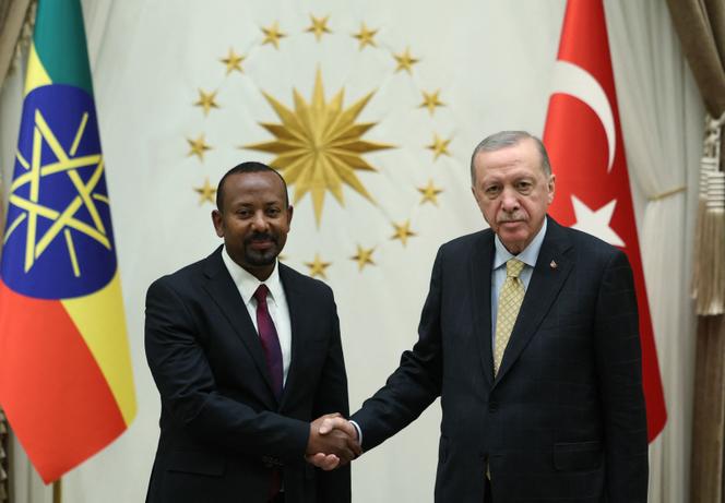 Le président turc Recep Tayyip Erdogan (à droite) et le premier ministre éthiopien Abiy Ahmed, au palais présidentiel d’Ankara, le 11 décembre 2024, sur une photo difusée par le service de presse de la présidence turque.