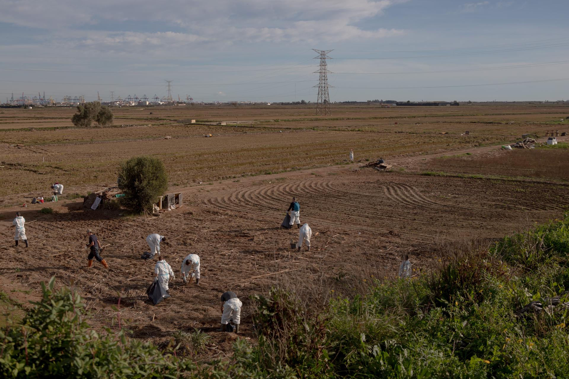Volunteers help clean up Albufera park in Spain, on December 6, 2024.