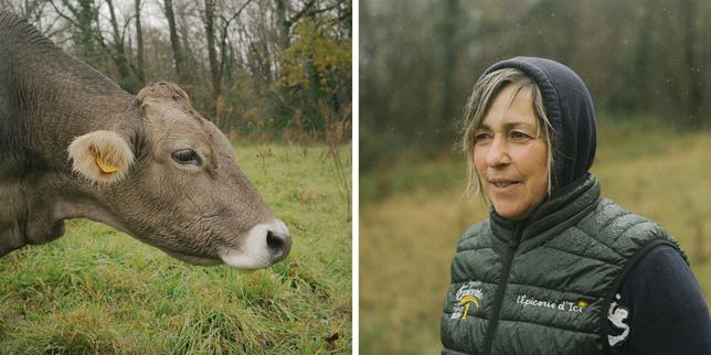 « Au lieu d’être unis, on se divise » : en pleine crise du secteur agricole, et à l’approche des élections, des éleveurs non syndiqués témoignent