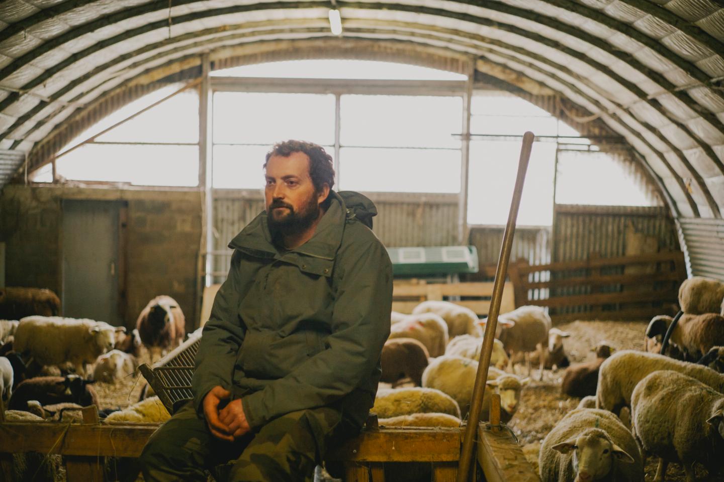 « Au lieu d’être unis, on se divise » : en pleine crise du secteur agricole, et à l’approche des élections, des éleveurs non syndiqués témoignent
