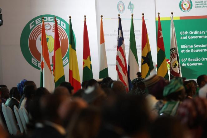 Les drapeaux des pays de la Communauté économique des États de l'Afrique de l'Ouest (CEDEAO) à la résidence présidentielle nigériane, lors de la 65ème session ordinaire des chefs d'État et de gouvernement de la CEDEAO, à Abuja, le 7 juillet 2024.