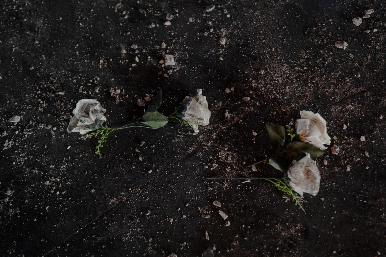 0d49d00_1735292370522-lgeai-alaouites-69