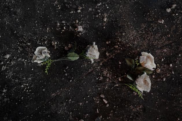 Rosas de plástico que estavam no túmulo de Hafez Al-Assad, em Qardaha, perto de Latakia, Síria, 17 de dezembro de 2024. 