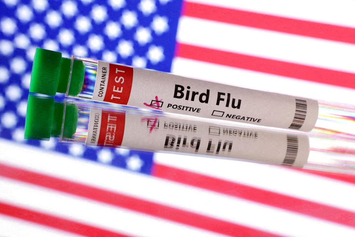 US injects $306m into bird flu fight as concerns mount