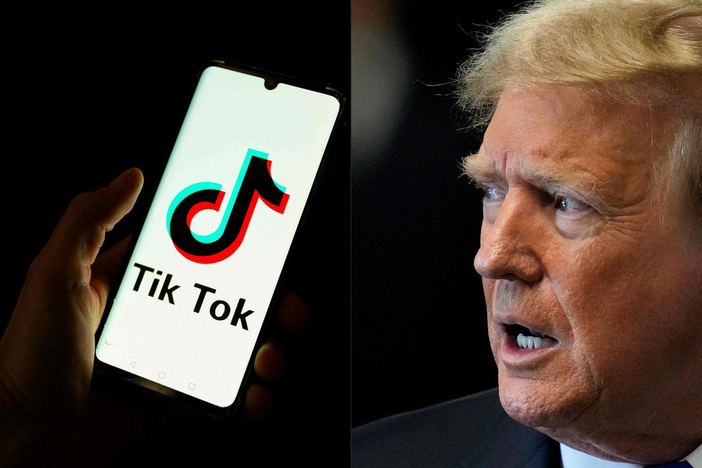 Trump asks Supreme Court to postpone TikTok ban