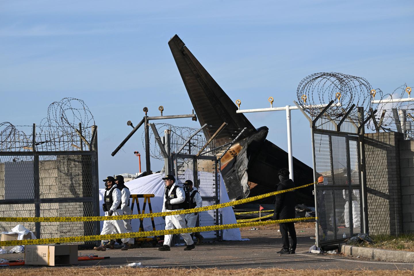 Jeju Air crash: South Korean government orders check of country's Boeing 737-800s