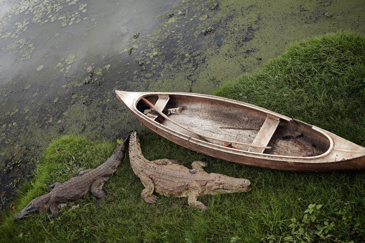 The mysterious island of photographer Henry Roy