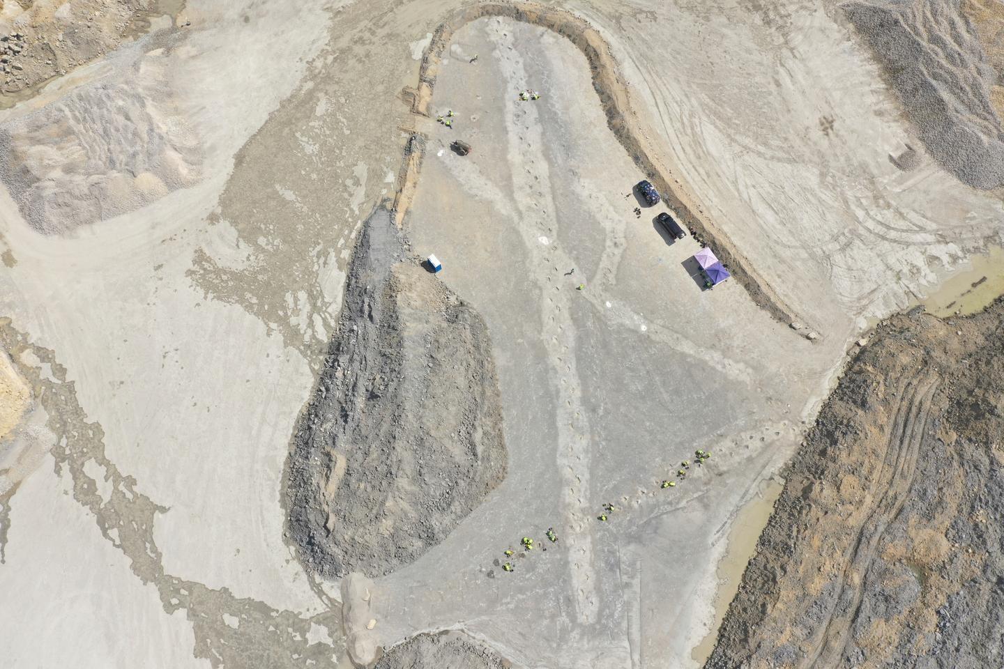 'Dinosaur highway' tracks dating back 166 million years discovered in England