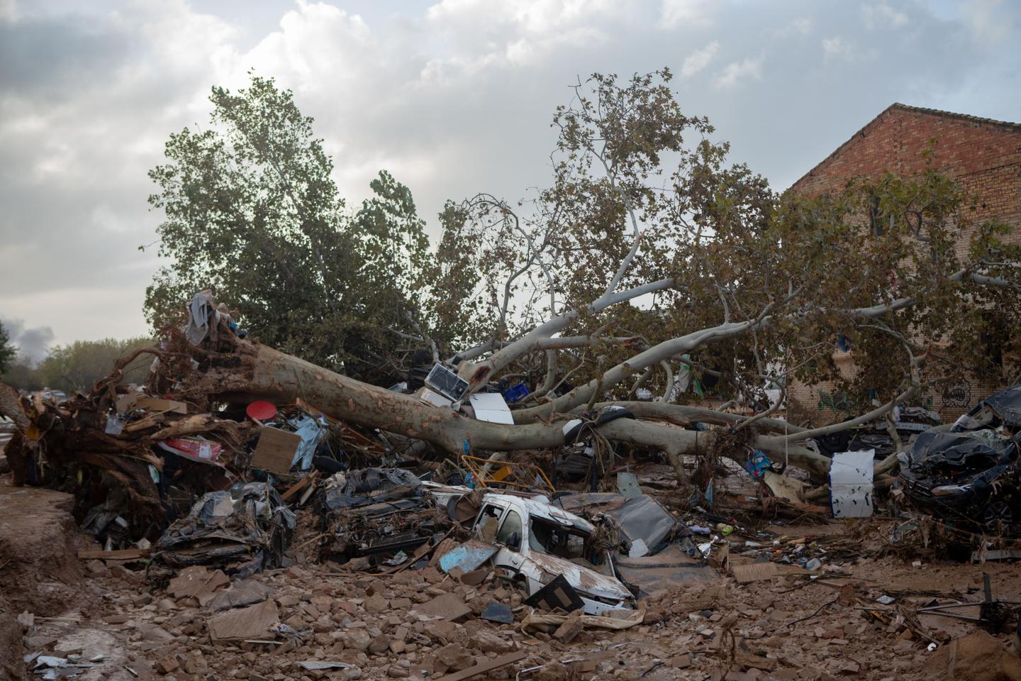 2025 will be a decisive year for the climate in a world 'more uncertain and tense than ever'
