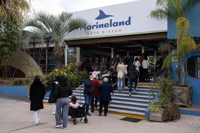 Les visiteurs font la queue devant le Marineland, avant sa fermeture, à Antibes (Alpes-Maritimes), le 2 janvier 2025.