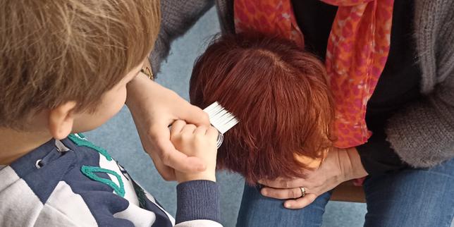 « Le pou, il faut le regarder dans les yeux » pour mieux lutter contre les infestations à l’école