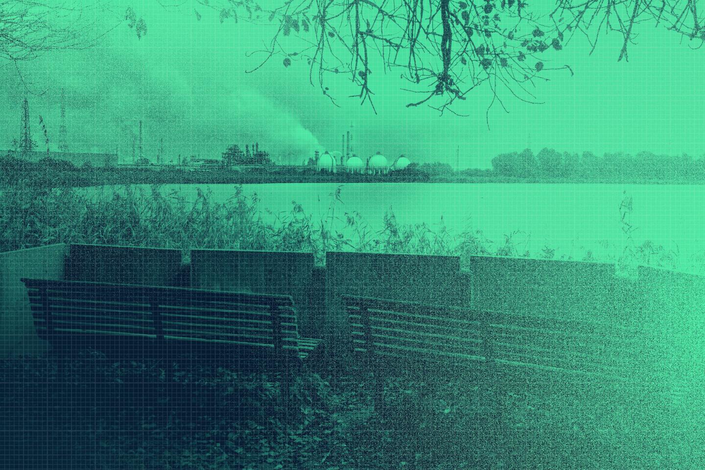Excavating soil, changing lake water, no playing outside: PFAS-contaminated Flanders' dystopian disaster