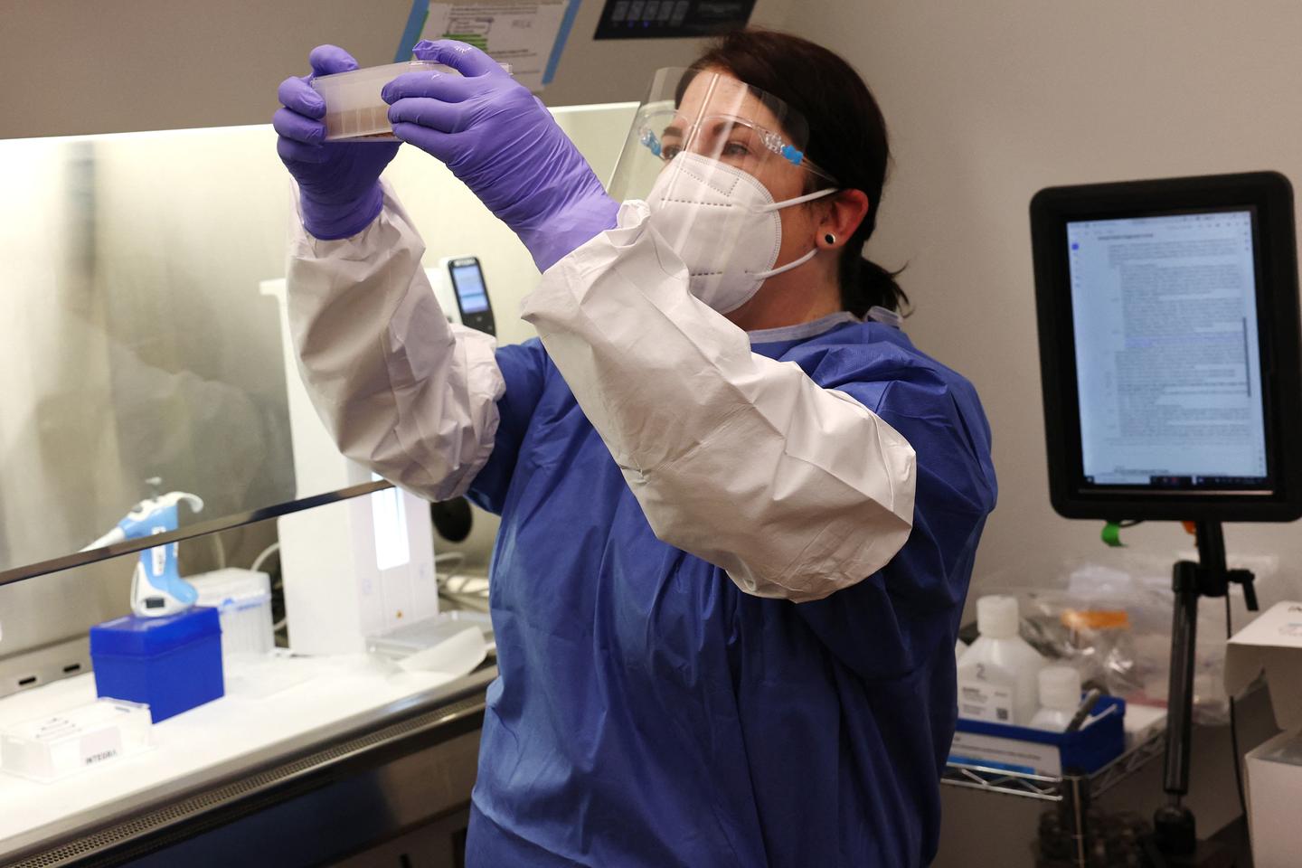 Avian flu: Scientists monitor mutations that could facilitate human transmission