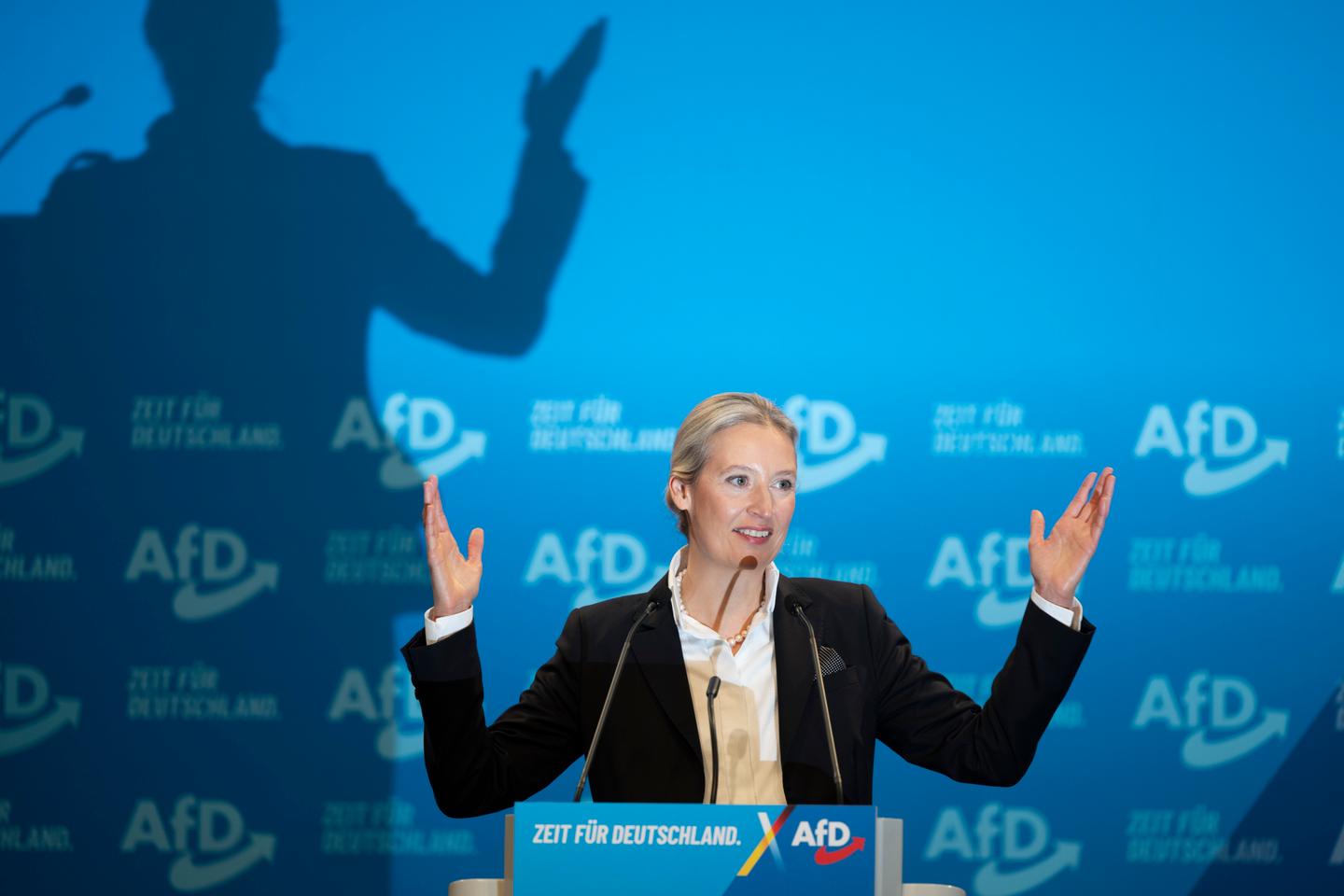 On the German far right's agenda: 'Remigration,' dropping the euro