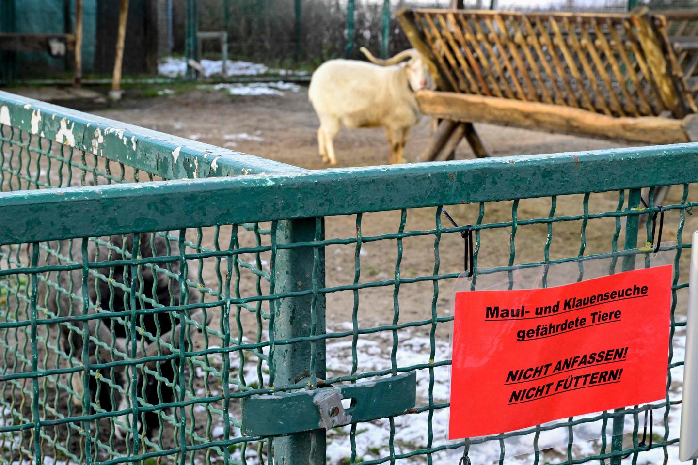 UK bans German livestock imports amid foot-and-mouth disease outbreak