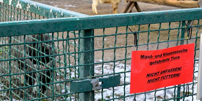 UK bans German livestock imports amid foot-and-mouth disease outbreak