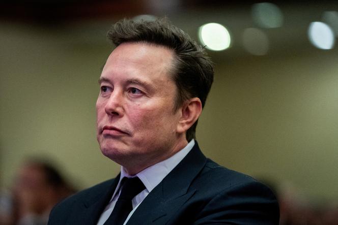 Elon Musk, le propriétaire de la plateforme X, à Washington, le 13 novembre 2024. 