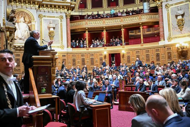 Le premier ministre, François Bayrou, à la tribune du Sénat, à Paris, le 15 janvier 2025.