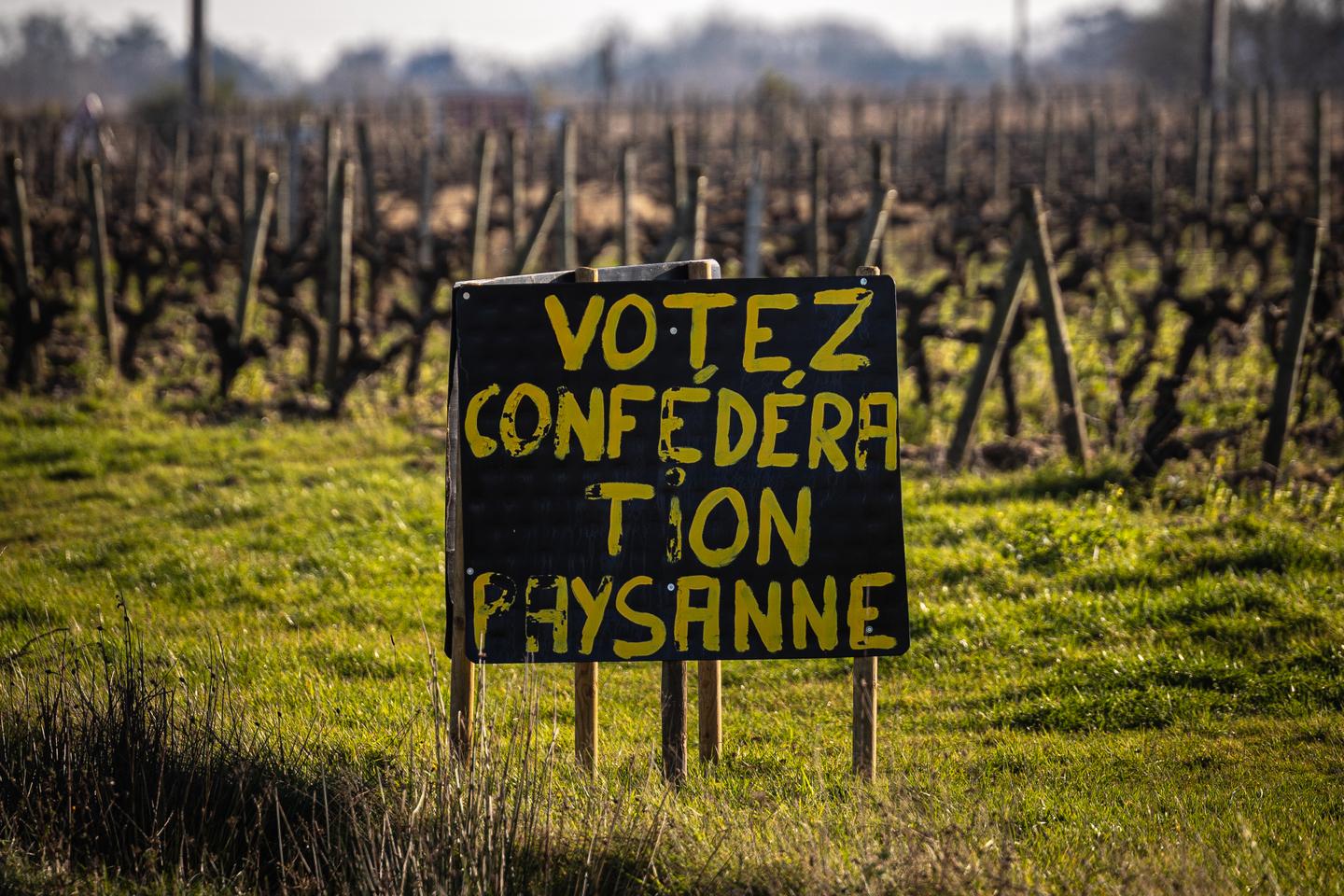 En Anjou, la FNSEA domine mais récolte son lot de critiques