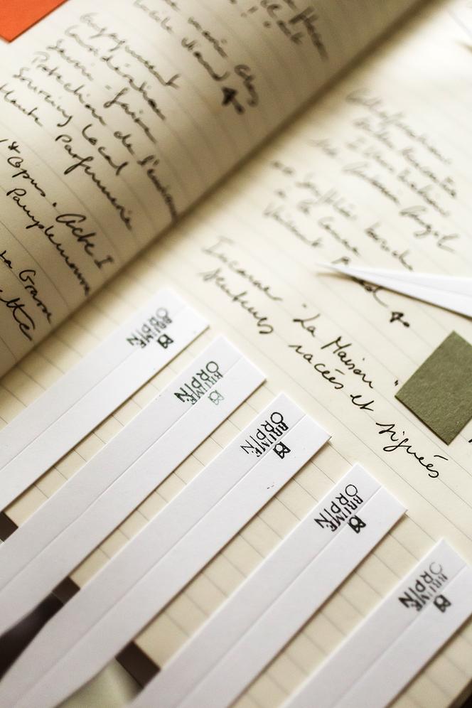 Carnet de notes de Tiphaine Cogez Cousseau.