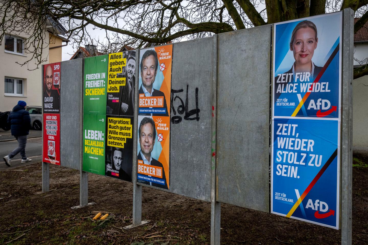 Musk backing for European far-right 'threatens democracy', says Scholz