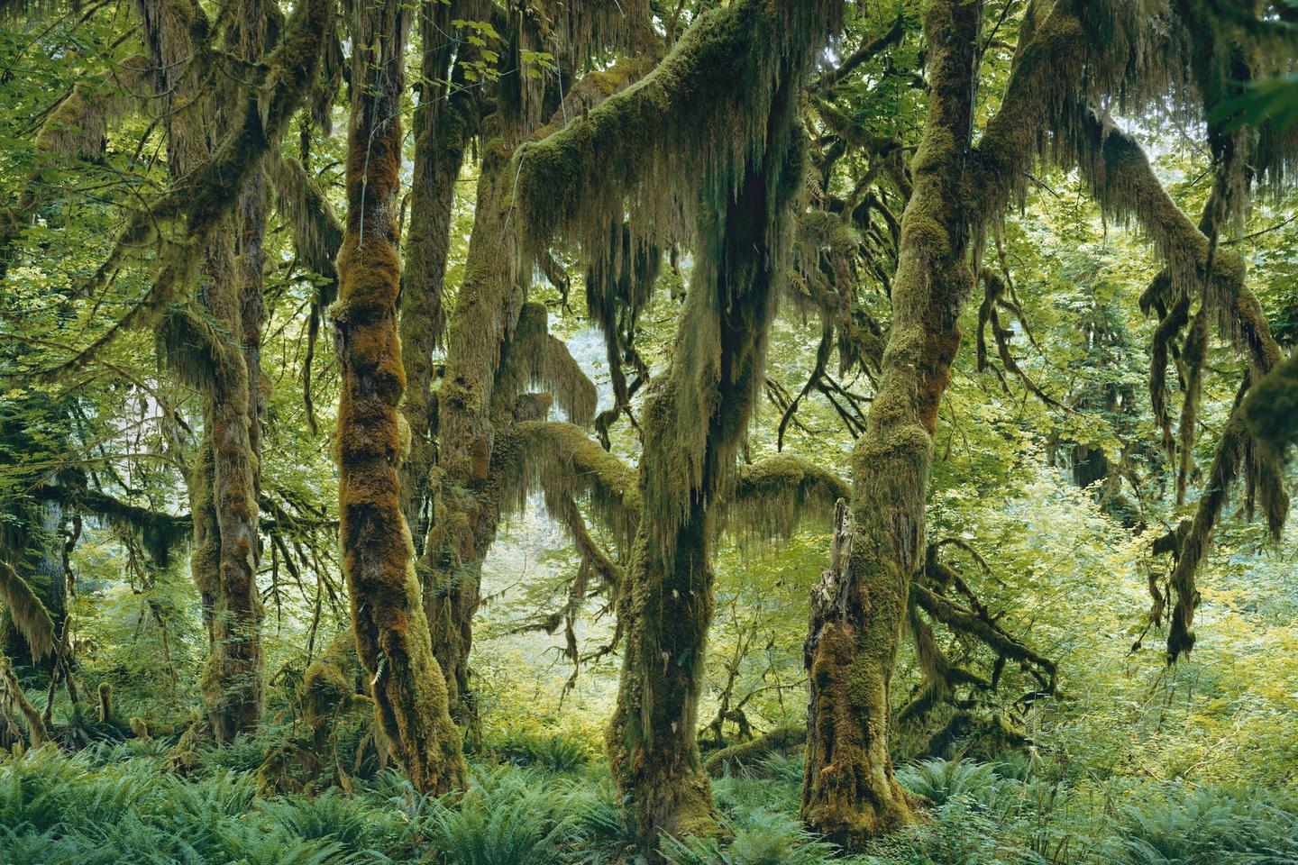 Photographer Mitch Epstein explores America's roots