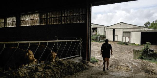 Le projet de loi d’orientation agricole arrive enfin au Sénat, après plusieurs mois d’attente et de reports