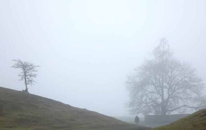 Epais brouillard à Kildare, en Irlande, avant l’arrivée de la tempête Eowyn, le 21 janvier 2025.