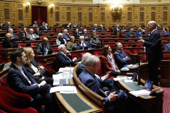 Le ministre de l’économie, Eric Lombard, devant le Sénat, le 23 janvier 2025. 
