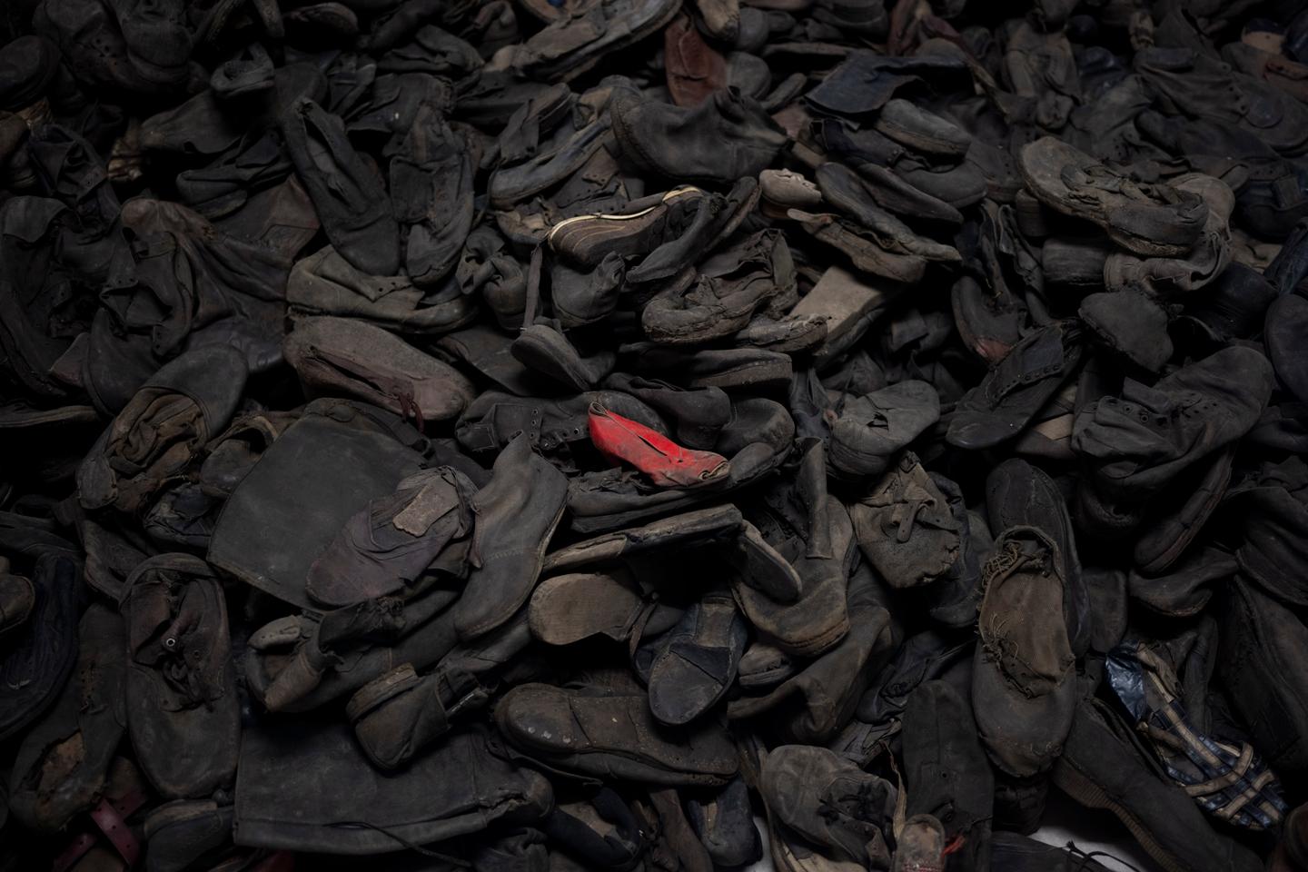 The conservation challenges at the Auschwitz-Birkenau Museum