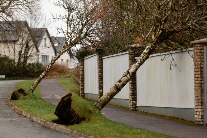 Em Galway, Irlanda, 24 de janeiro de 2025.