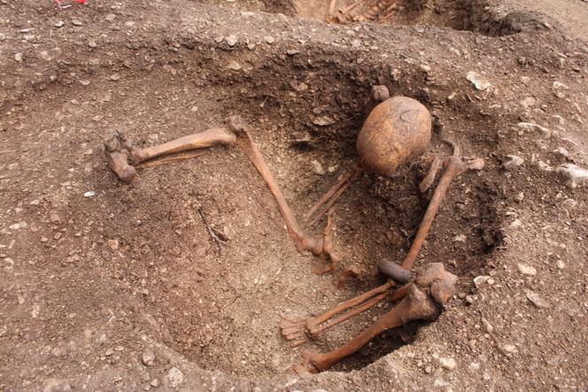 Inhumation d’un individu assis avec stigmates d’une blessure au crâne et portant un bracelet en roche noire. Daté entre 300 et 200 avant notre ère. Rue Turgot, Dijon, le 12 décembre 2024.