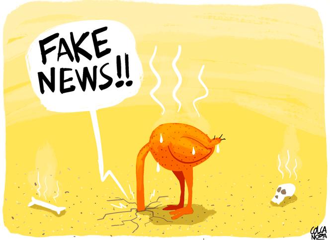 Images Le Monde.fr