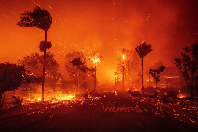 Images Le Monde.fr